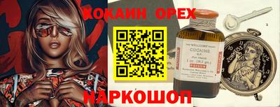шишки Жуковский