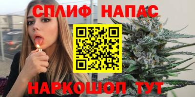 шишки Жуковский